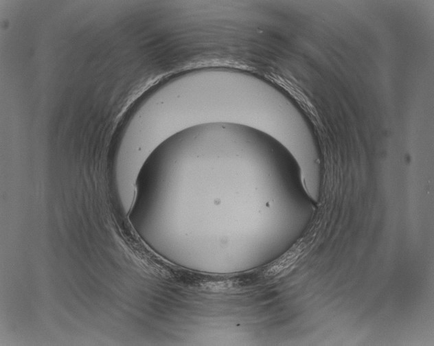 X0000066940160200604211759