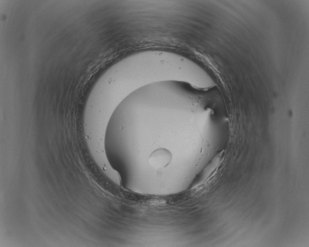 X0000066940162200604211759