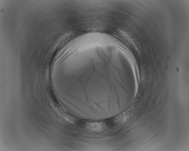 X0000066940163200604211759