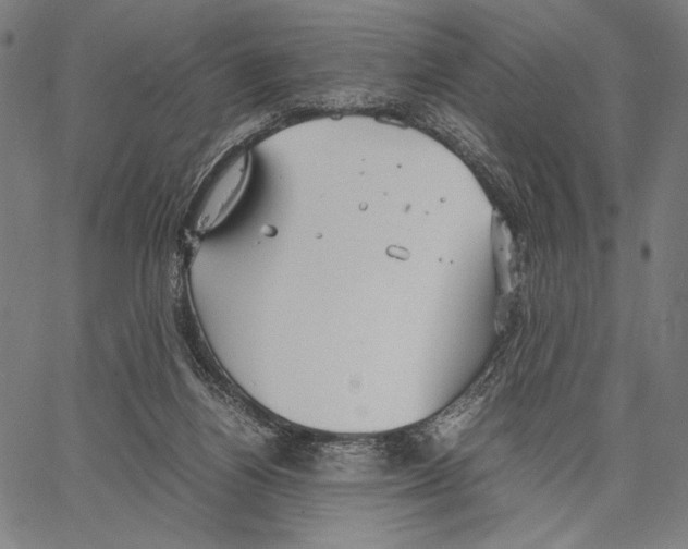 X0000066940164200604211759