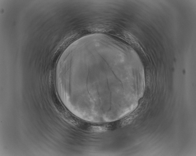 X0000066940167200604211759