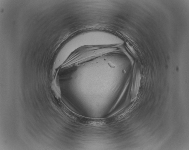 X0000066940168200604211759