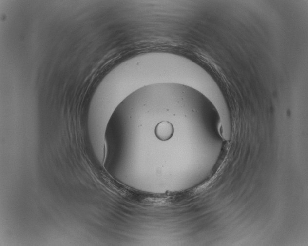 X0000066940170200604211759