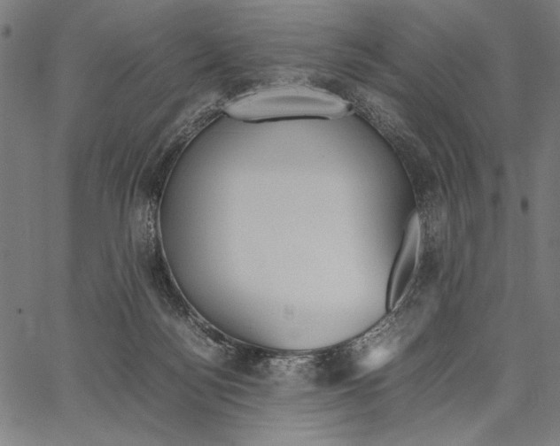 X0000066940172200604211759