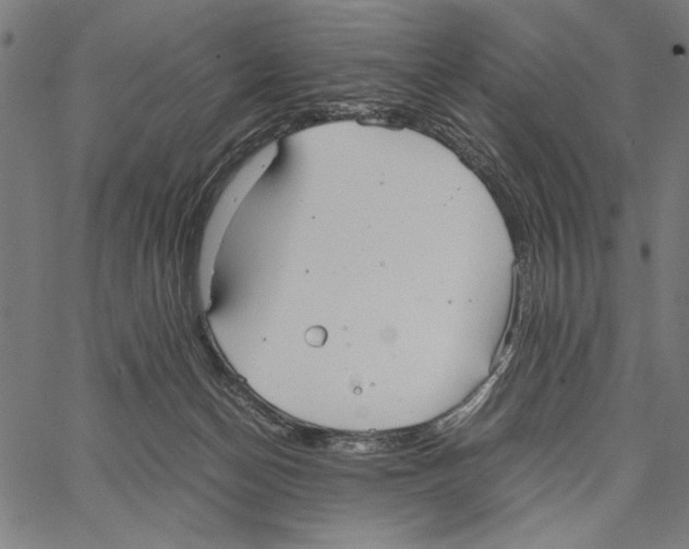 X0000066940174200604211759