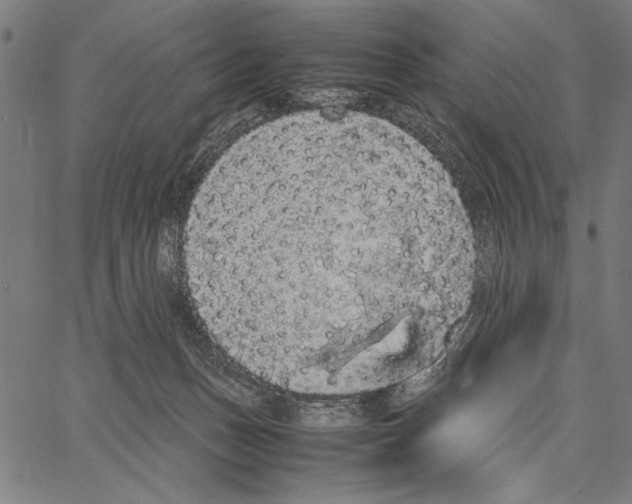 X0000066940175200604211759