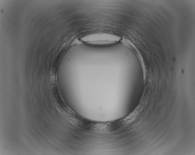 X0000066940176200604211759