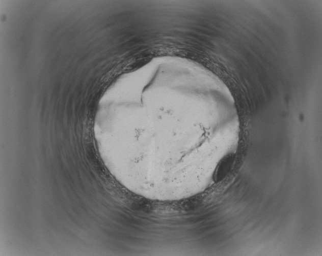 X0000066940177200604211759