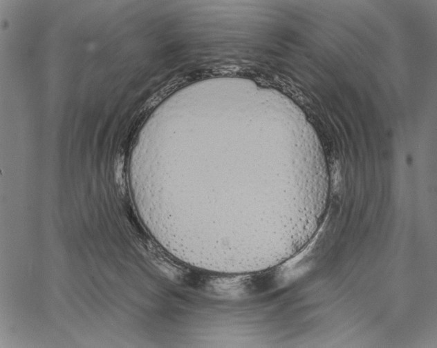 X0000066940178200604211759