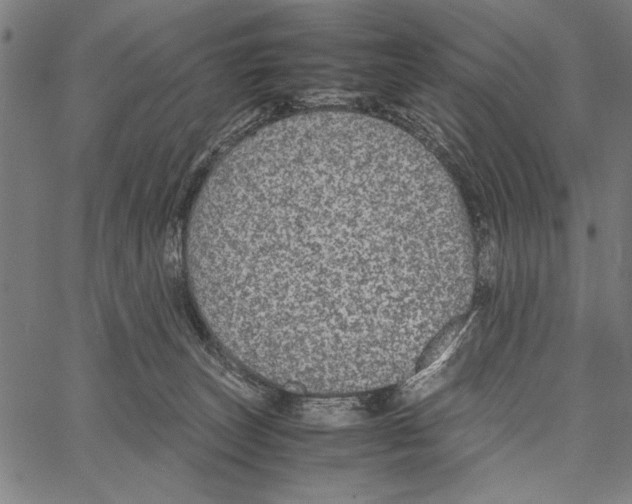 X0000066940179200604211759