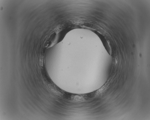 X0000066940180200604211759