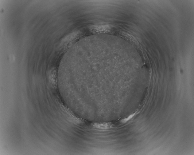 X0000066940181200604211759