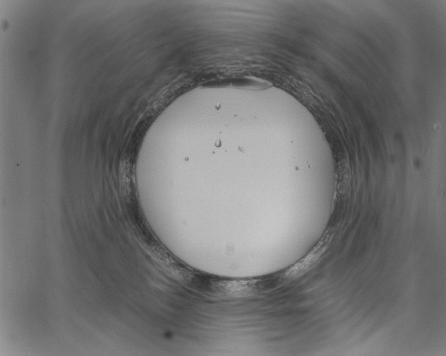 X0000066940184200604211759