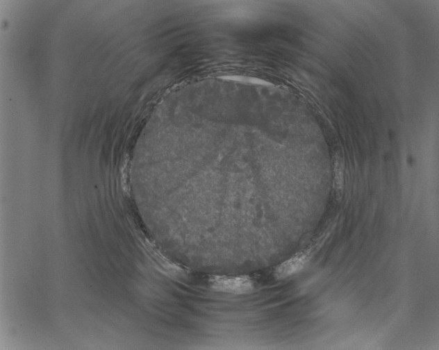 X0000066940185200604211759