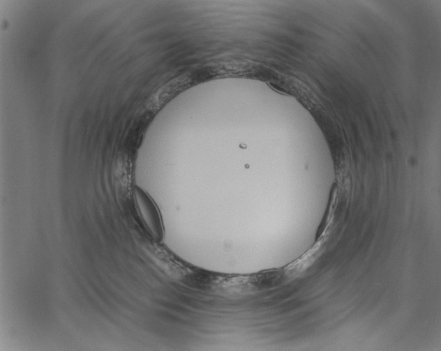 X0000066940186200604211759