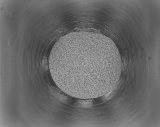 X0000066940187200604211759