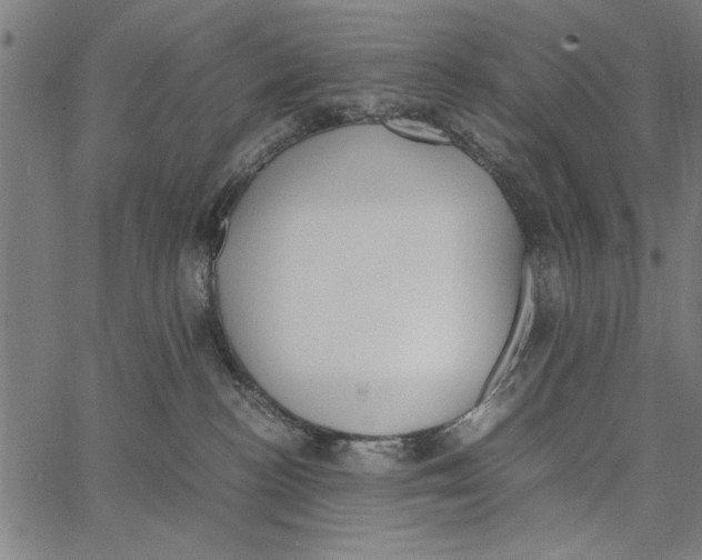 X0000066940188200604211759