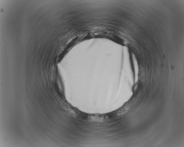 X0000066940189200604211759