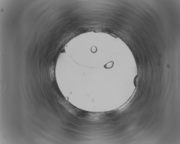 X0000066940190200604211759