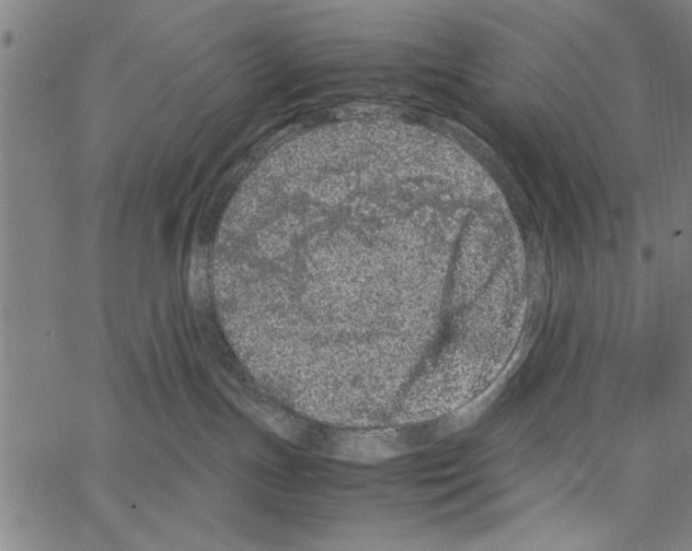 X0000066940191200604211759