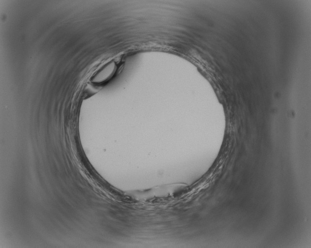 X0000066940193200604211758