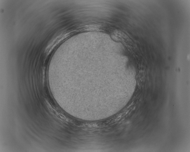 X0000066940194200604211758