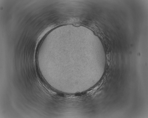 X0000066940196200604211758