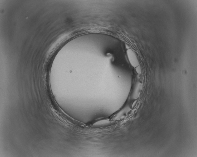 X0000066940197200604211758