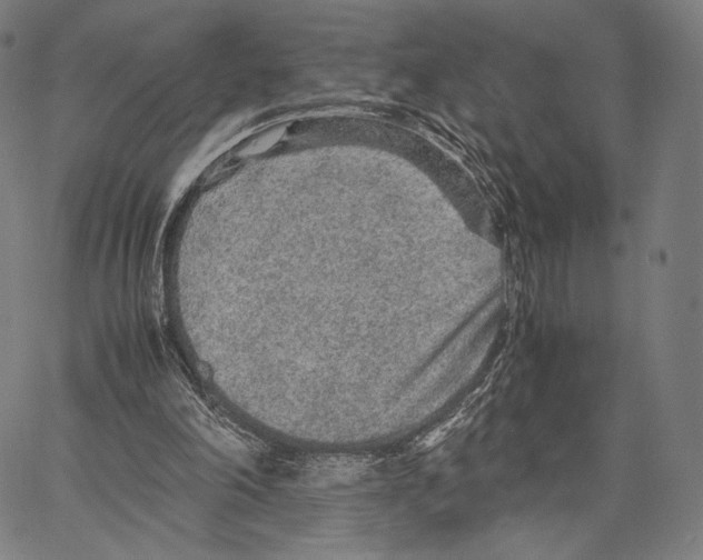 X0000066940198200604211758