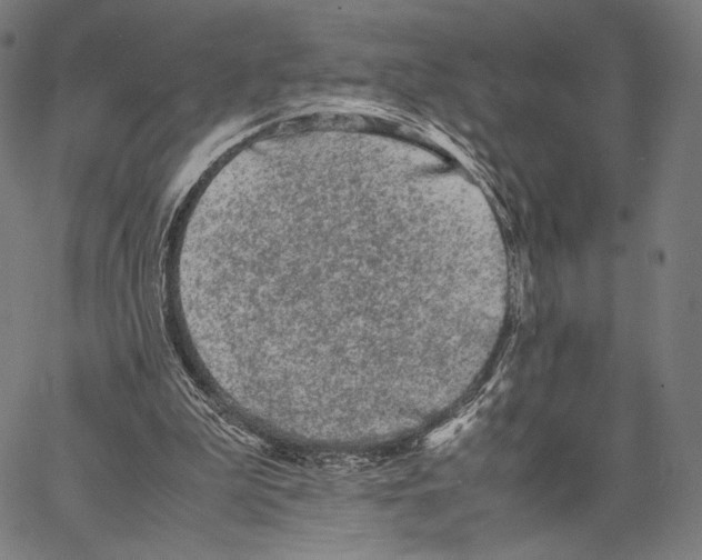 X0000066940199200604211758