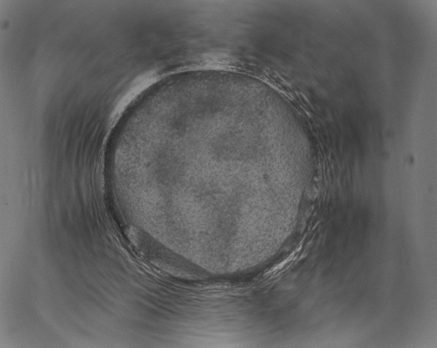 X0000066940200200604211758