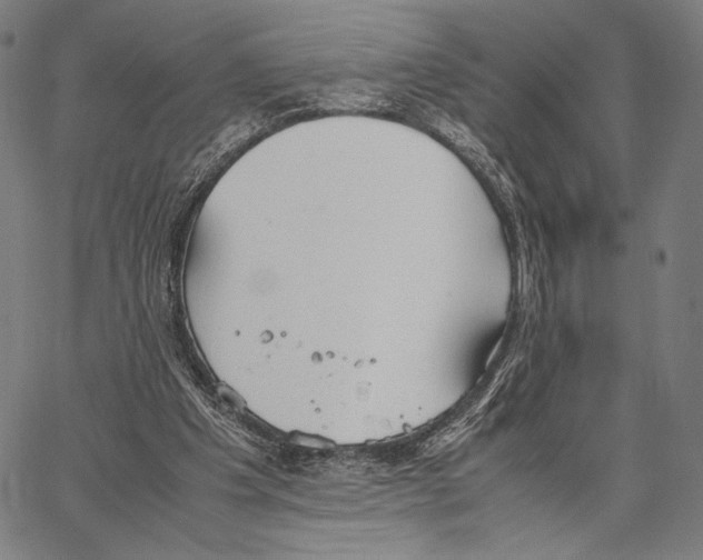 X0000066940201200604211758