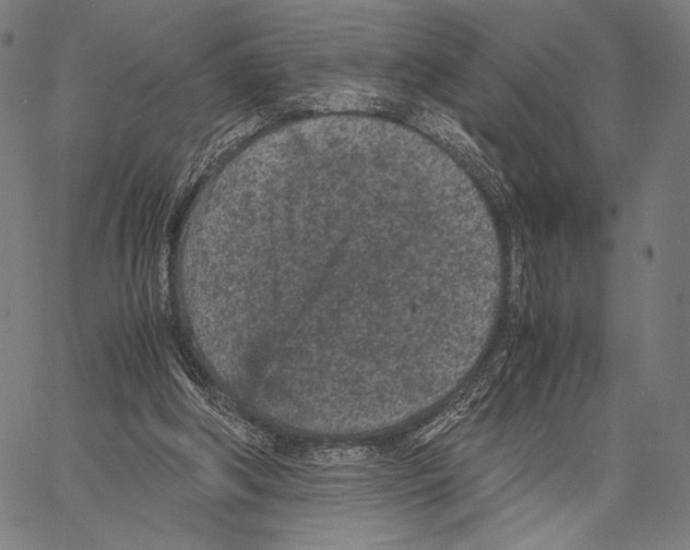 X0000066940202200604211758