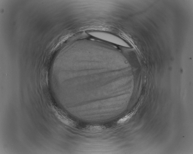 X0000066940205200604211758