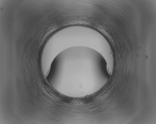 X0000066940207200604211758