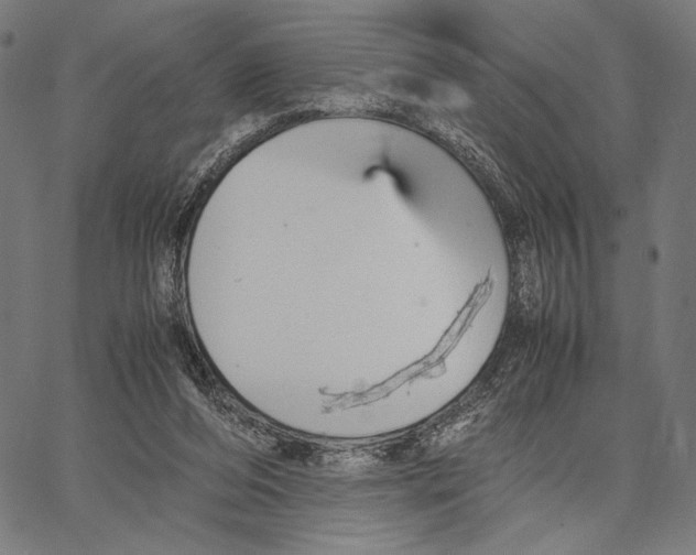 X0000066940208200604211758