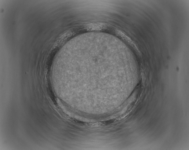 X0000066940209200604211758