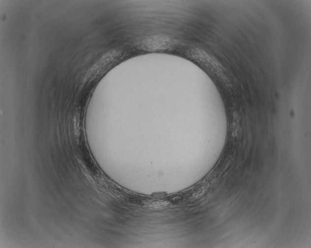 X0000066940210200604211758