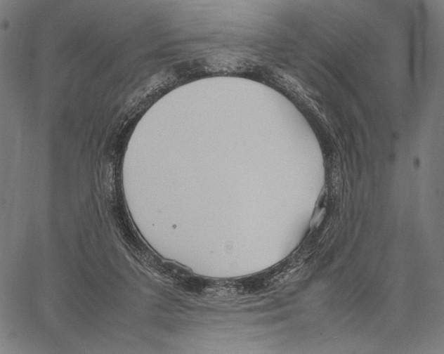 X0000066940211200604211758