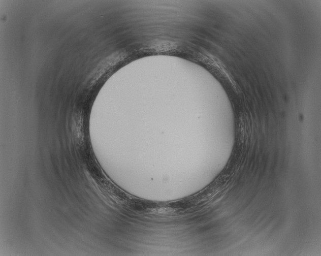 X0000066940212200604211758