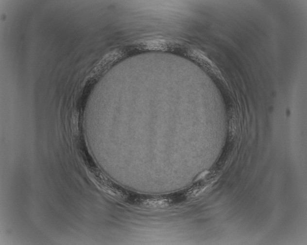 X0000066940213200604211758