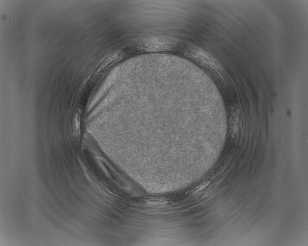 X0000066940214200604211758