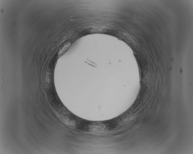 X0000066940215200604211758