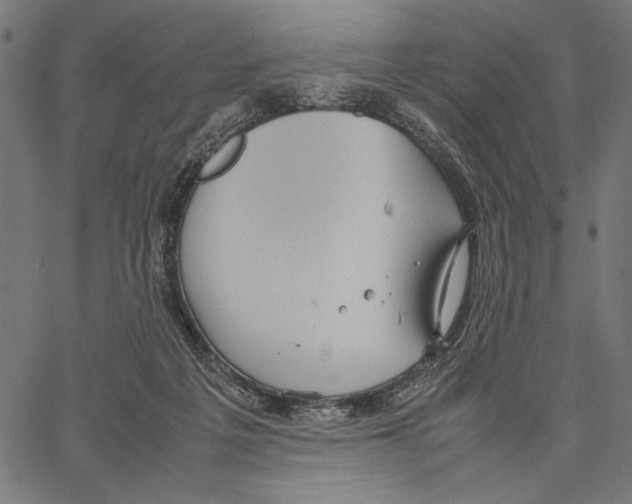 X0000066940217200604211758