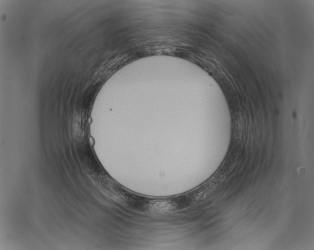 X0000066940218200604211758