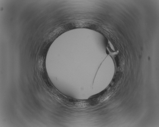 X0000066940219200604211758