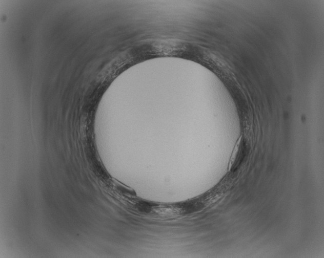 X0000066940221200604211758