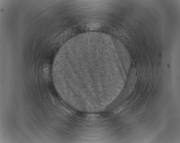 X0000066940222200604211758