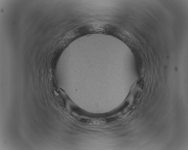 X0000066940223200604211758