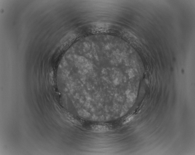 X0000066940224200604211758